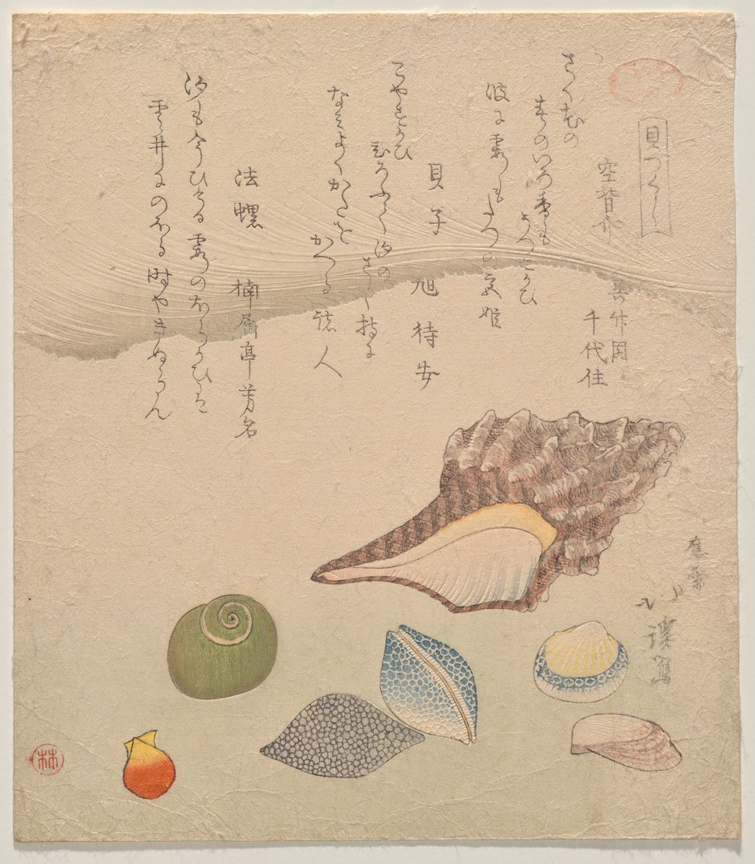 海边的七个贝壳》，选自《贝壳汇编》系列（Kaizukushi） 作者 东东屋北海