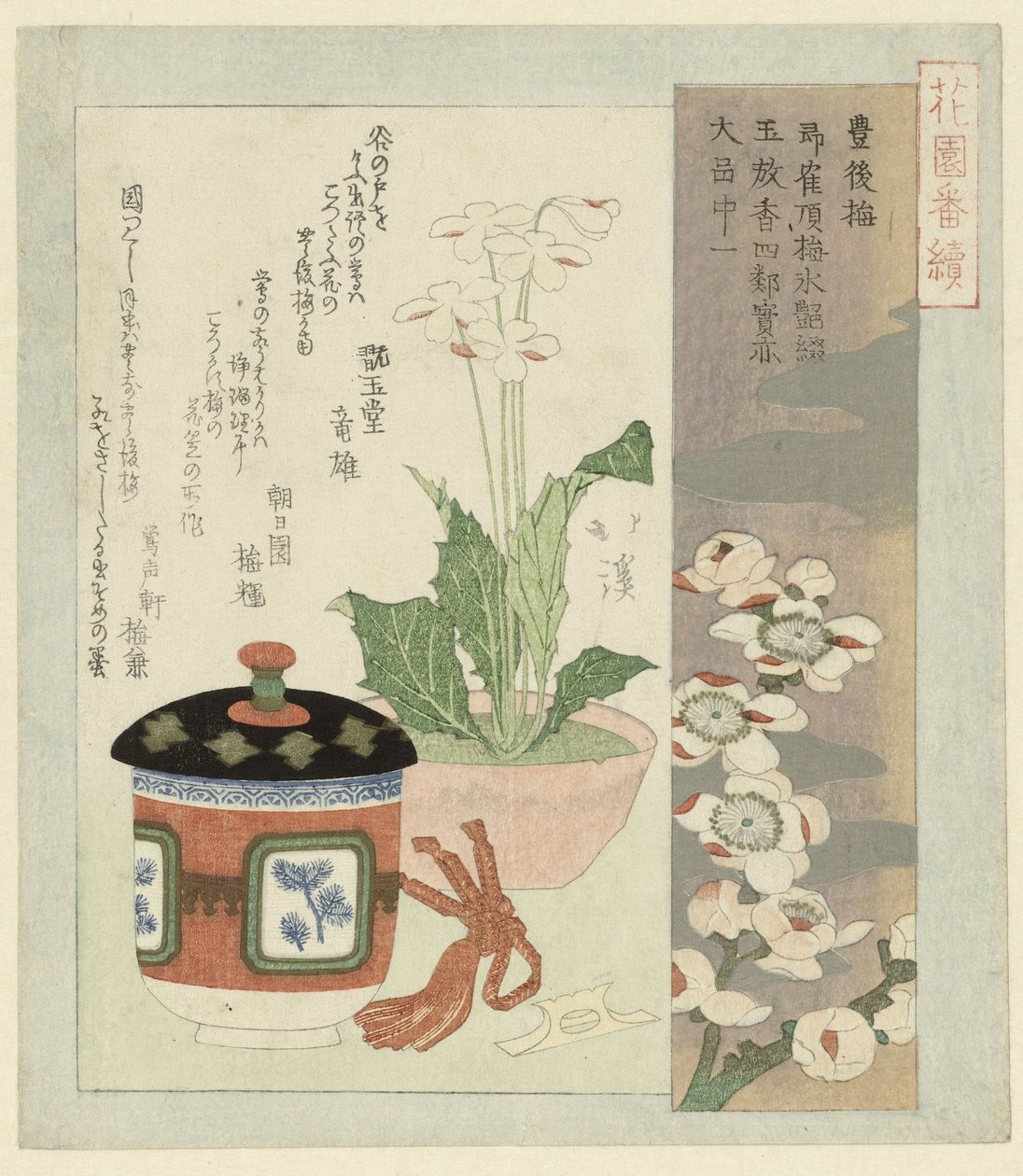 报春花静物画 作者 东东屋北海