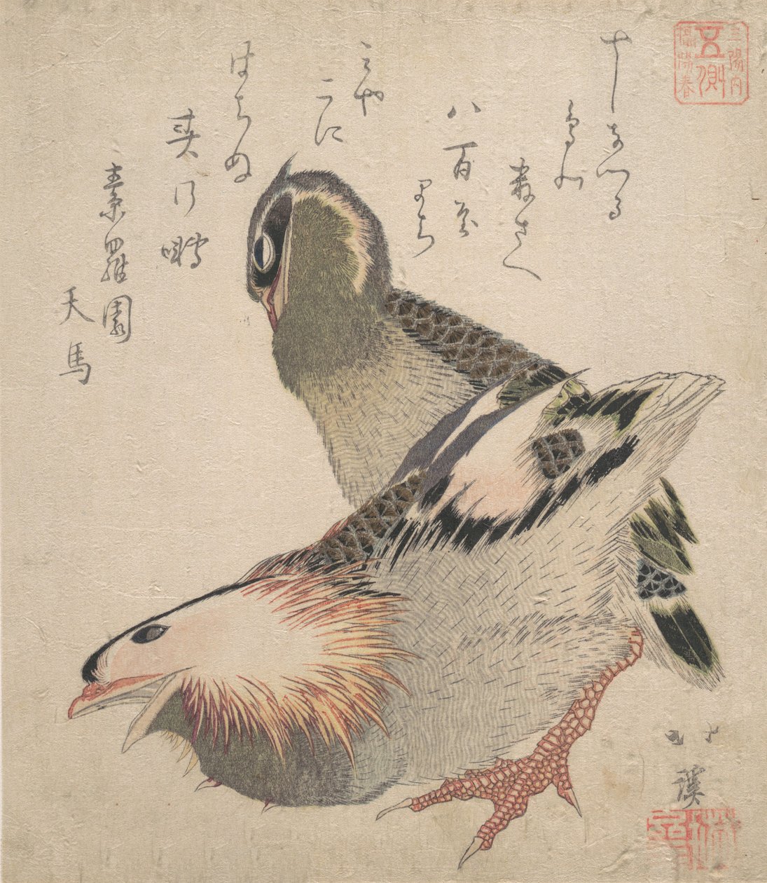 两只鸟。 作者 东东屋北海