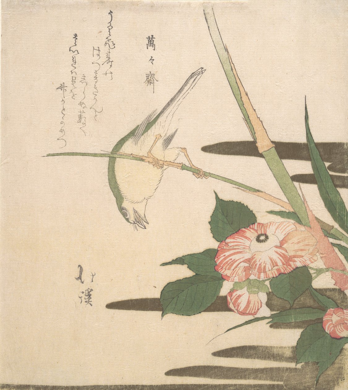 莺莺燕燕和山茶花，约1815-20。 作者 东东屋北海