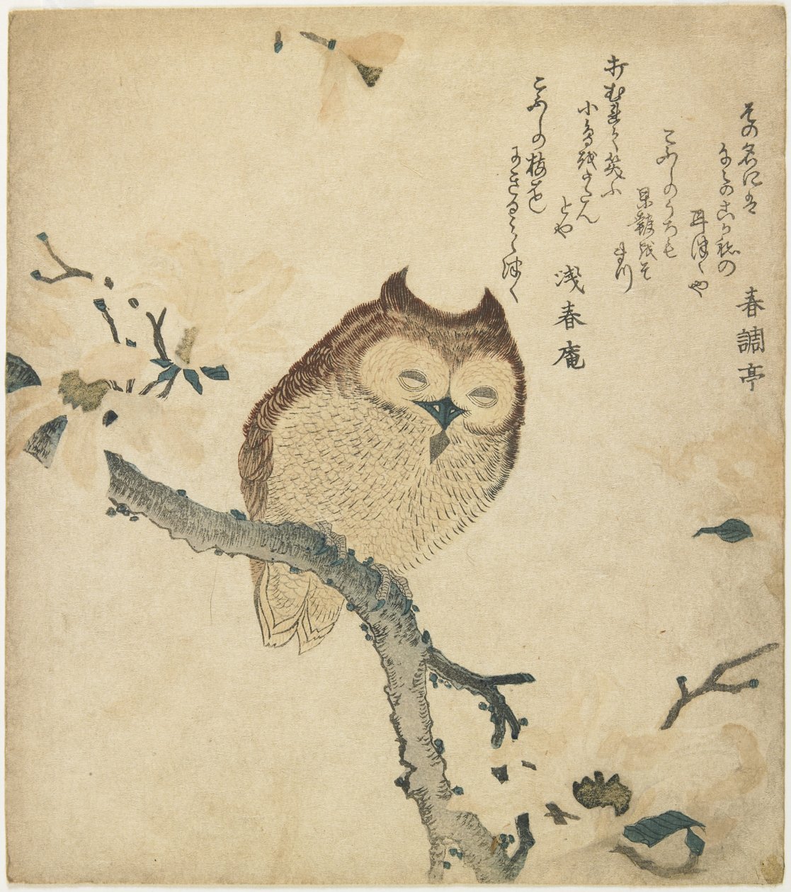 （猫头鹰），19世纪初 作者 丰田福建