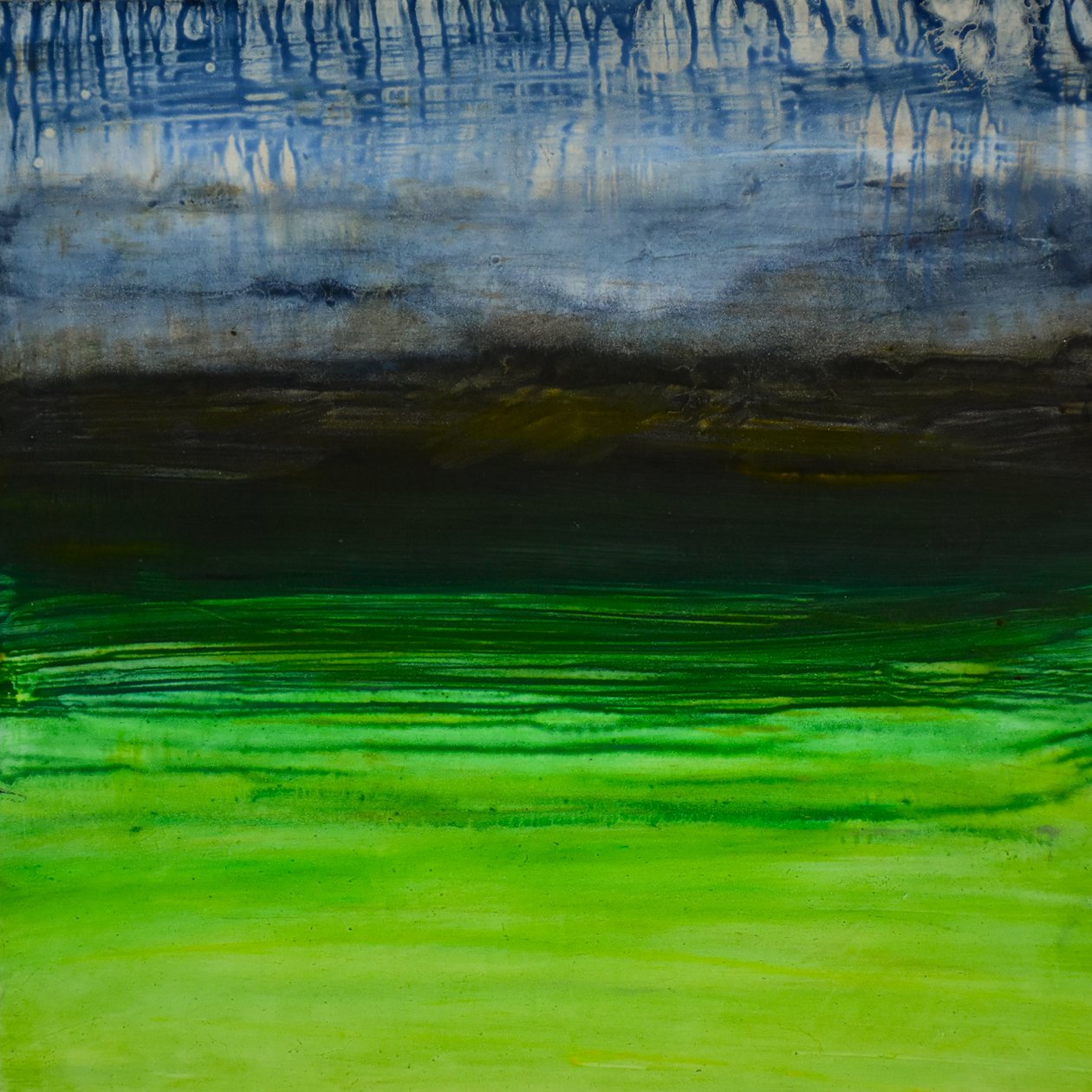 自然非自然系列 , 2004 （油画板） 作者 特蕾西·兰布罗斯