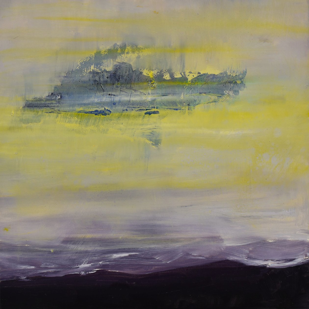 自然非自然系列 24，2004 年（油画板） 作者 特蕾西·兰布罗斯