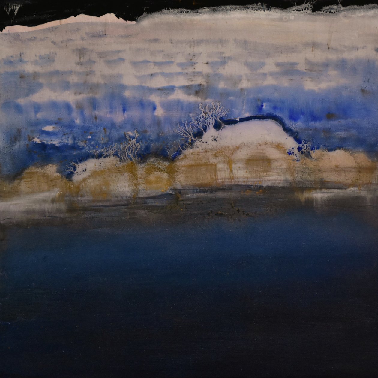 自然非自然系列 28，2004 年（油画板） 作者 特蕾西·兰布罗斯