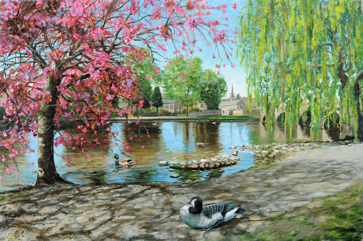 贝克韦尔桥，德比郡，2009年 作者 特雷弗·尼尔