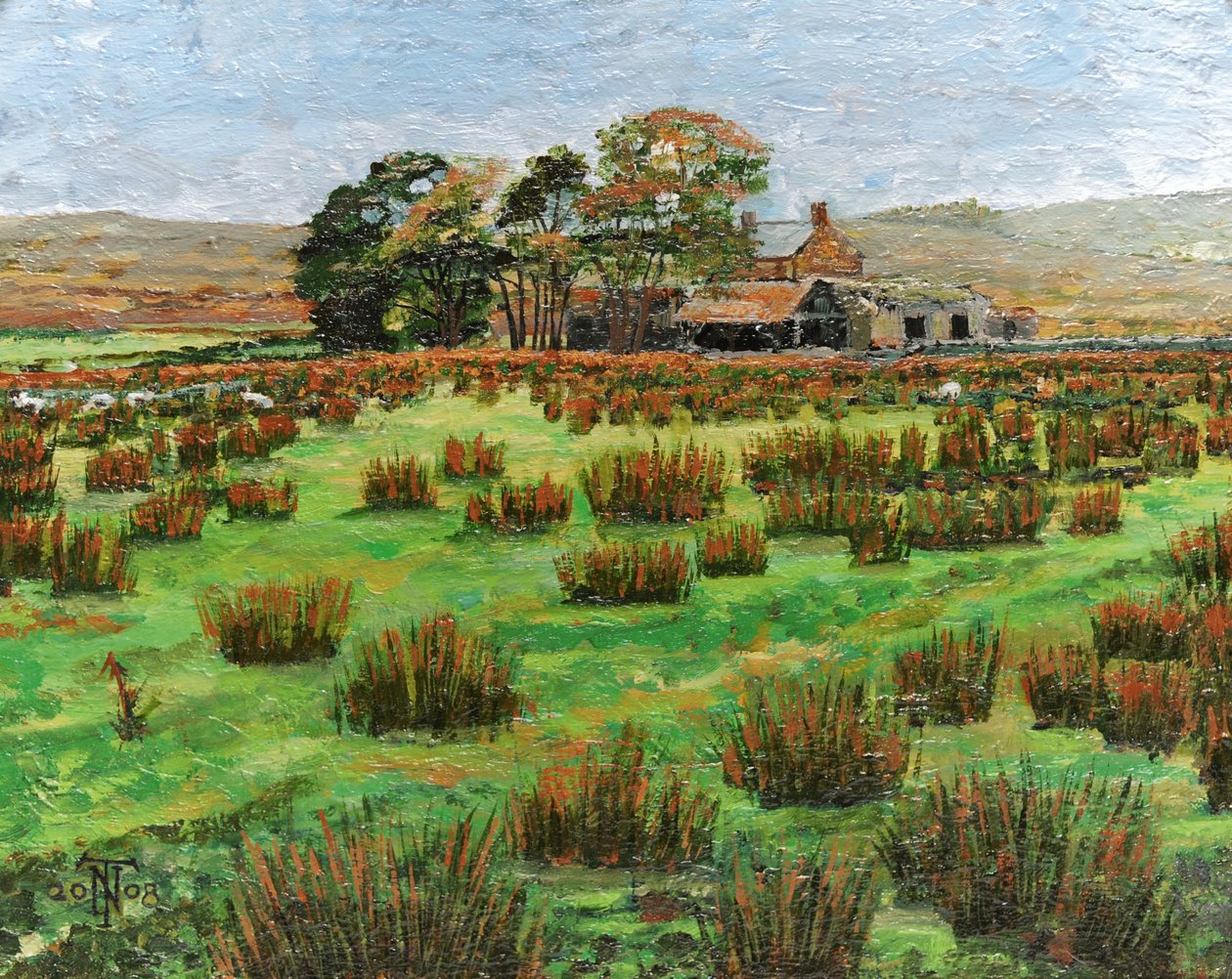 坎布里亚农场，2008年 作者 特雷弗·尼尔