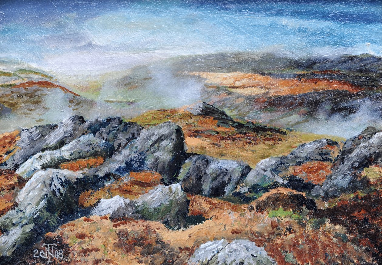 Langdales top，坎布里亚郡，2008年 作者 特雷弗·尼尔