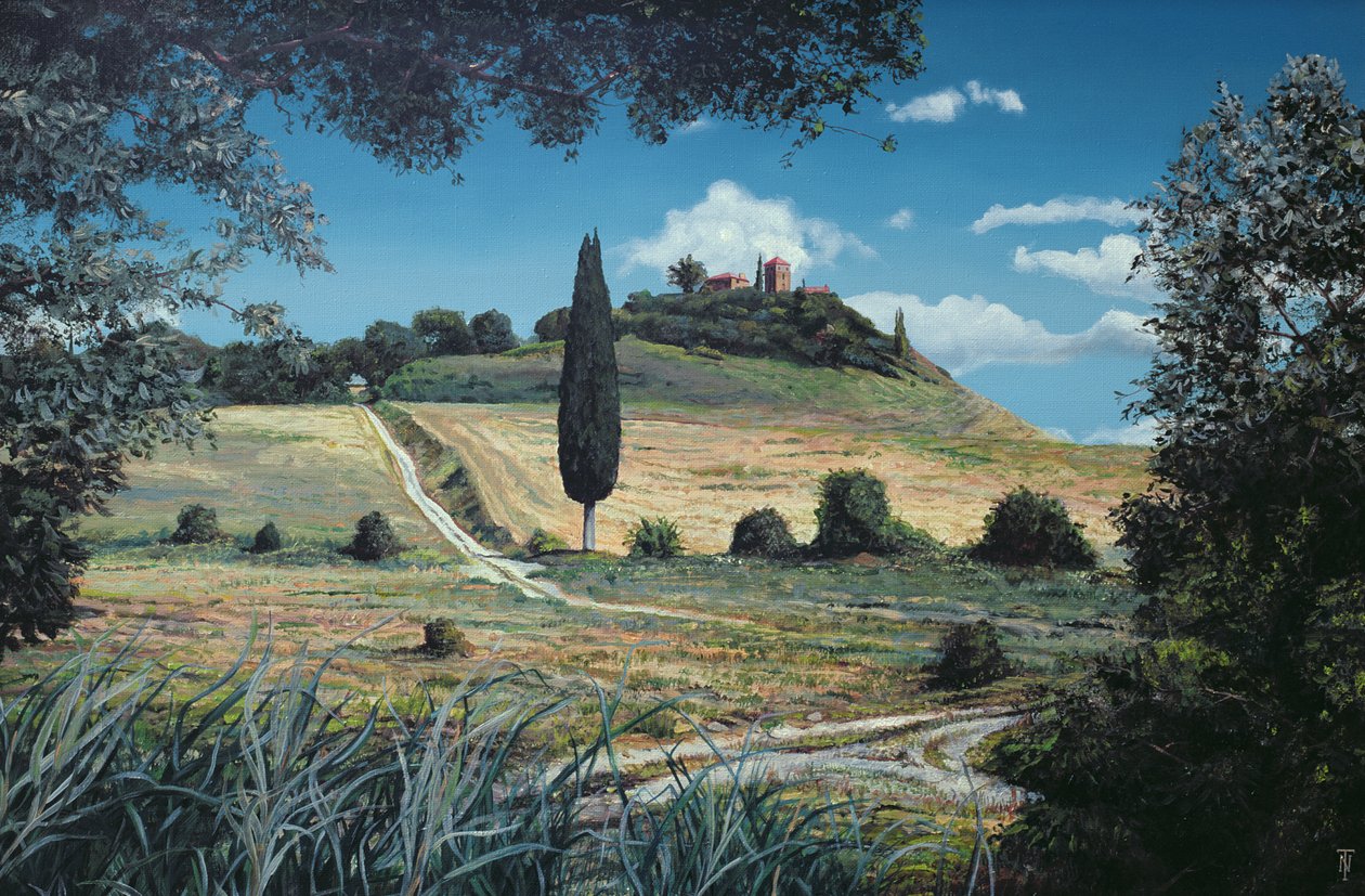 棒棒糖树，翁布里亚，1998年 作者 特雷弗·尼尔