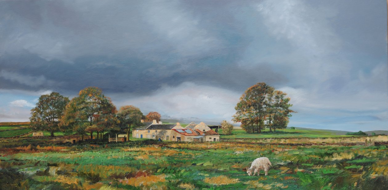 老农场，Monyash，德比郡，2009年 作者 特雷弗·尼尔