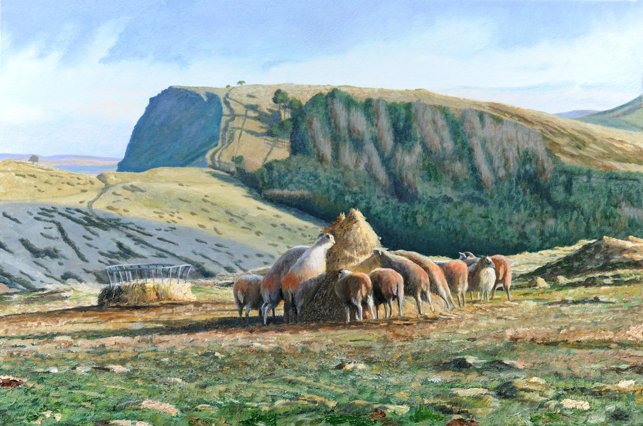 绵羊饲养，2004年 作者 特雷弗·尼尔