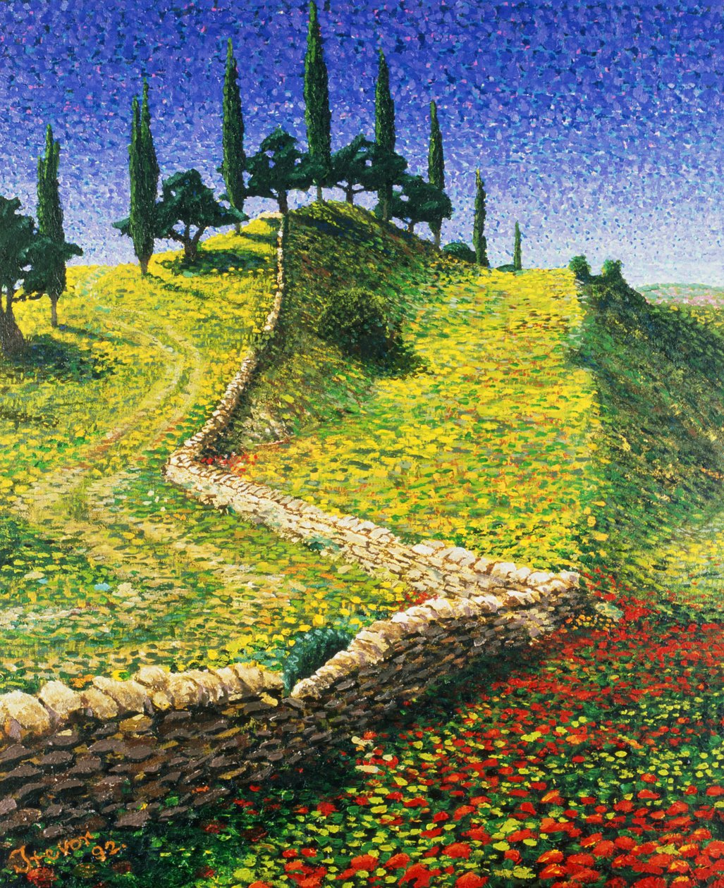 1992年西班牙山顶 作者 特雷弗·尼尔