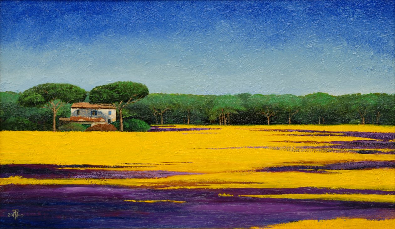 托斯卡纳Landcape，2010年 作者 特雷弗·尼尔