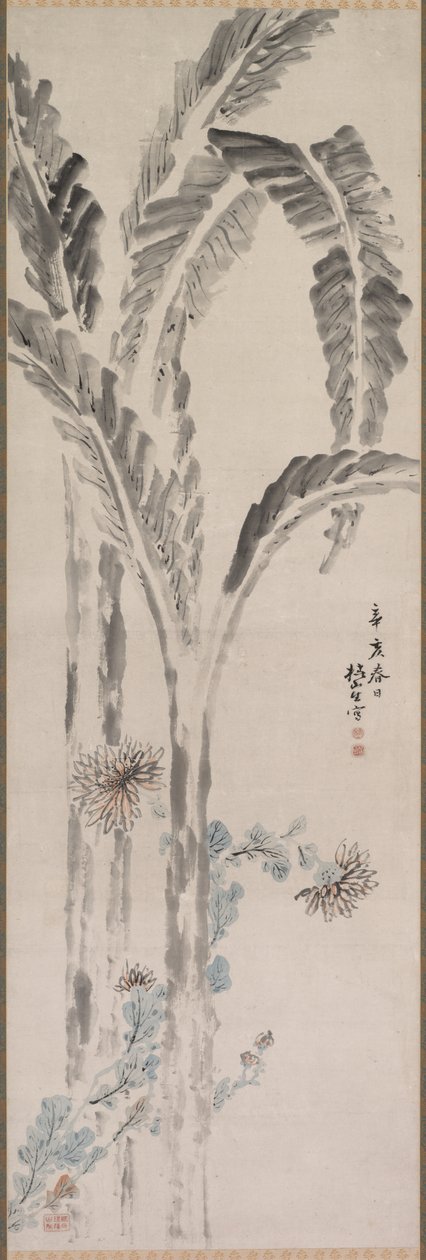 香蕉树和菊花 作者 椿金山