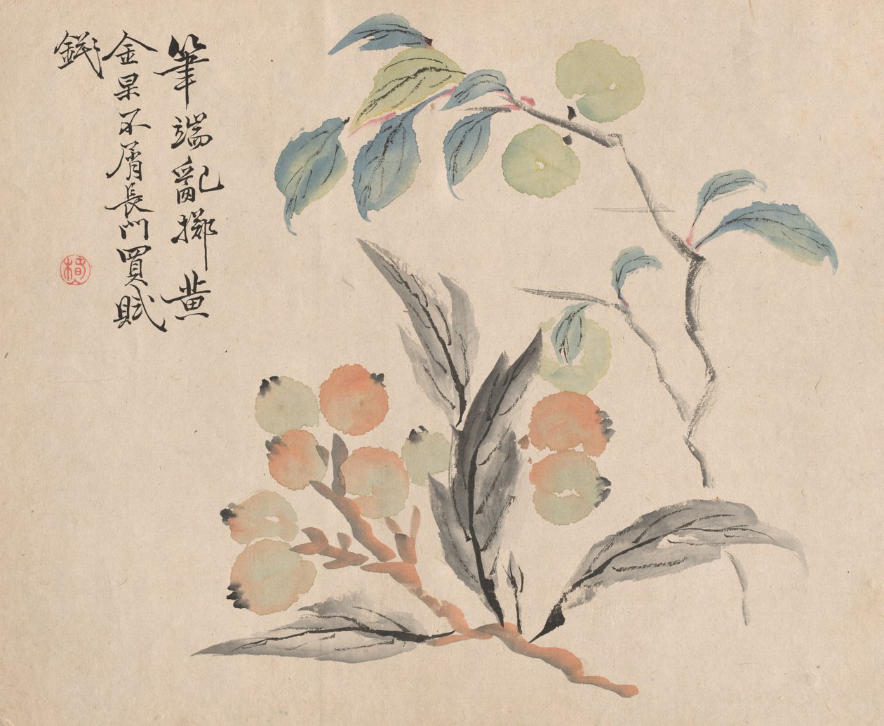 日本的枇杷树 作者 椿金山