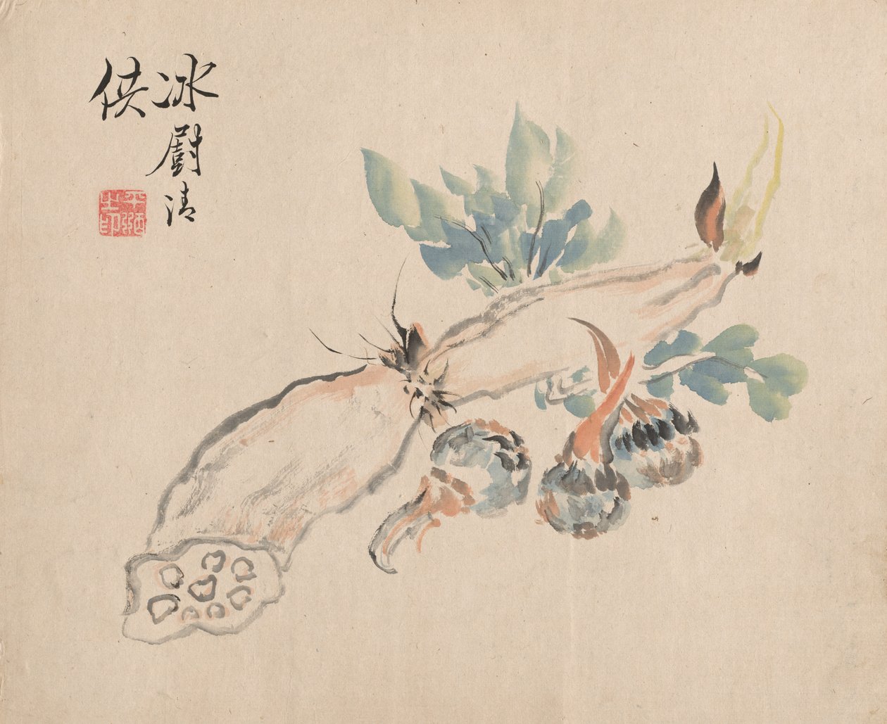 莲藕和金针菜 作者 椿金山