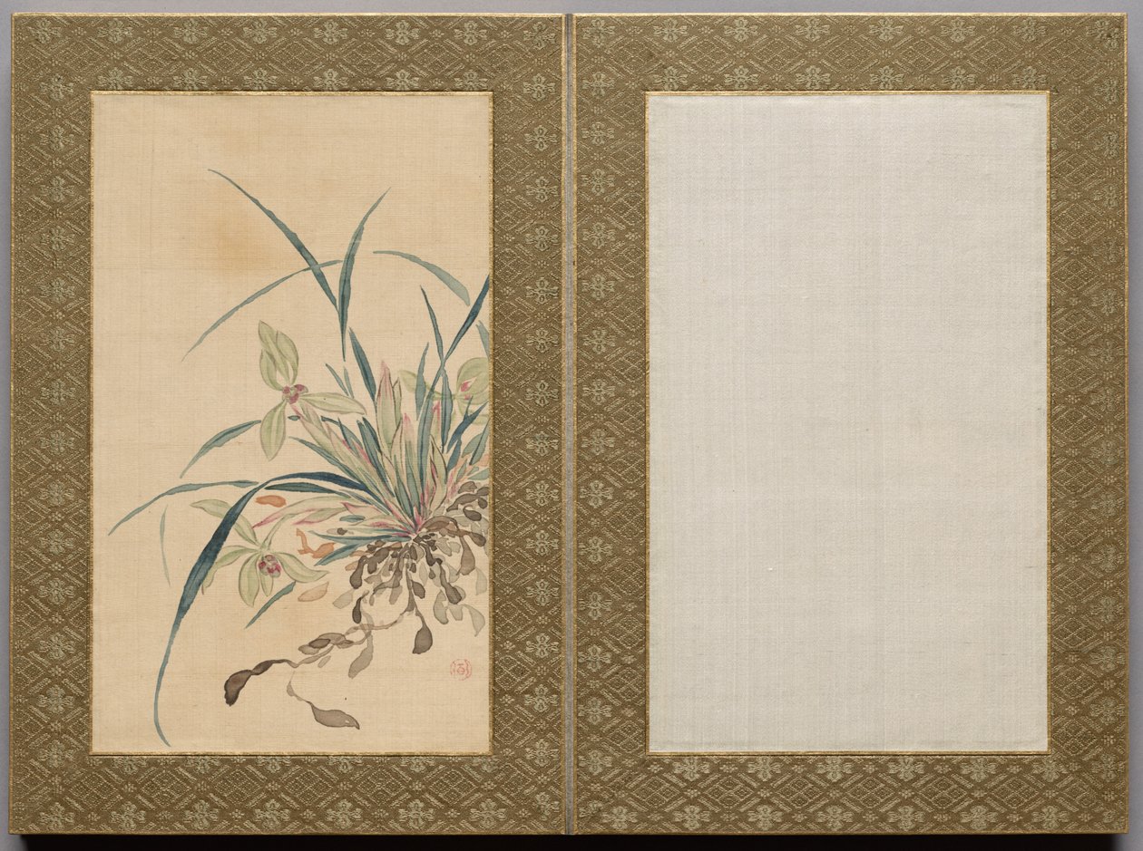 花草绘画 作者 椿金山