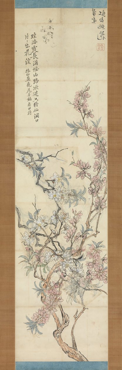 红白相间的桃花，准备素描，1843年。 作者 椿金山
