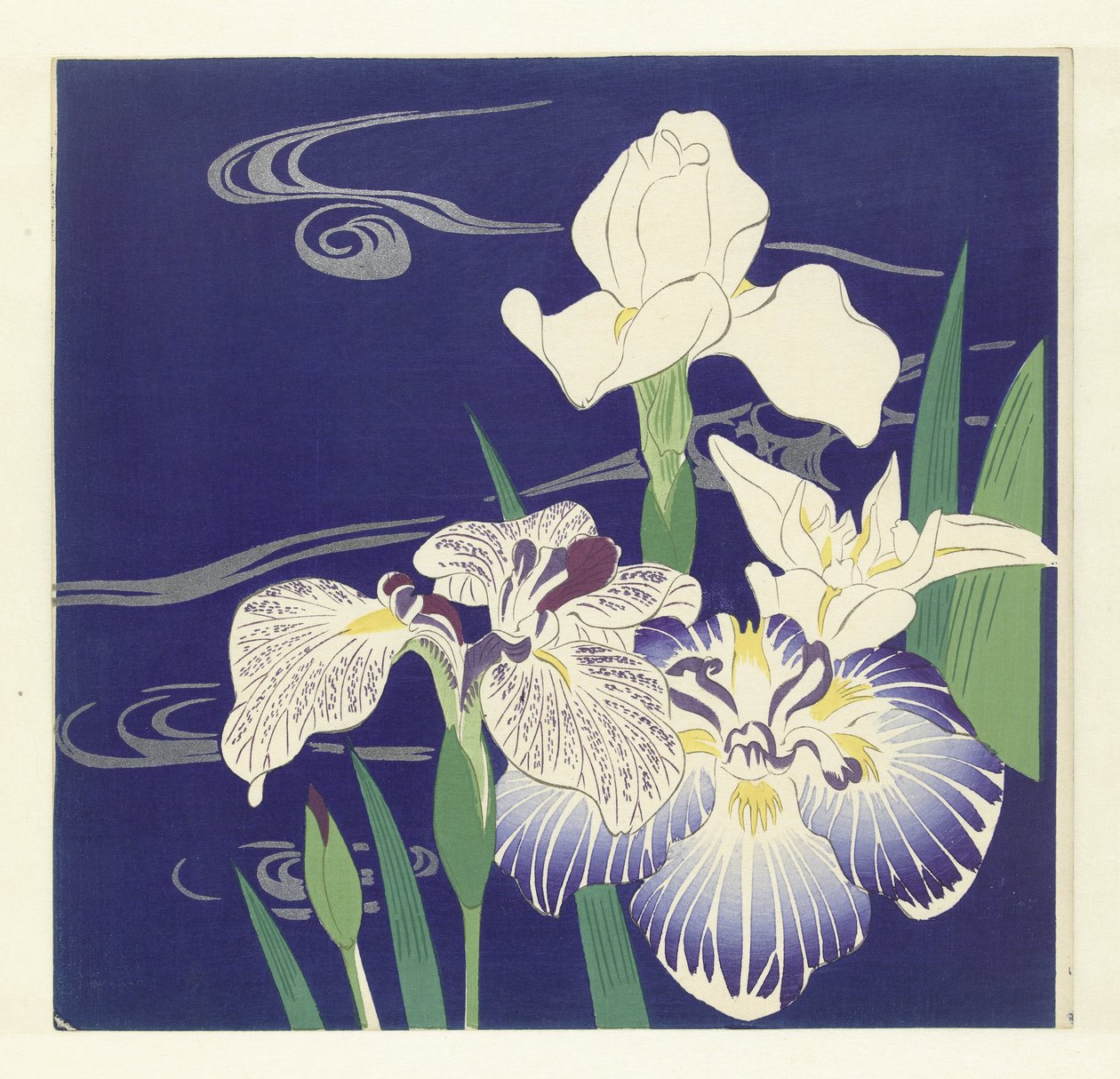鸢尾花，1890-1900（木版画） 作者 月冈工业