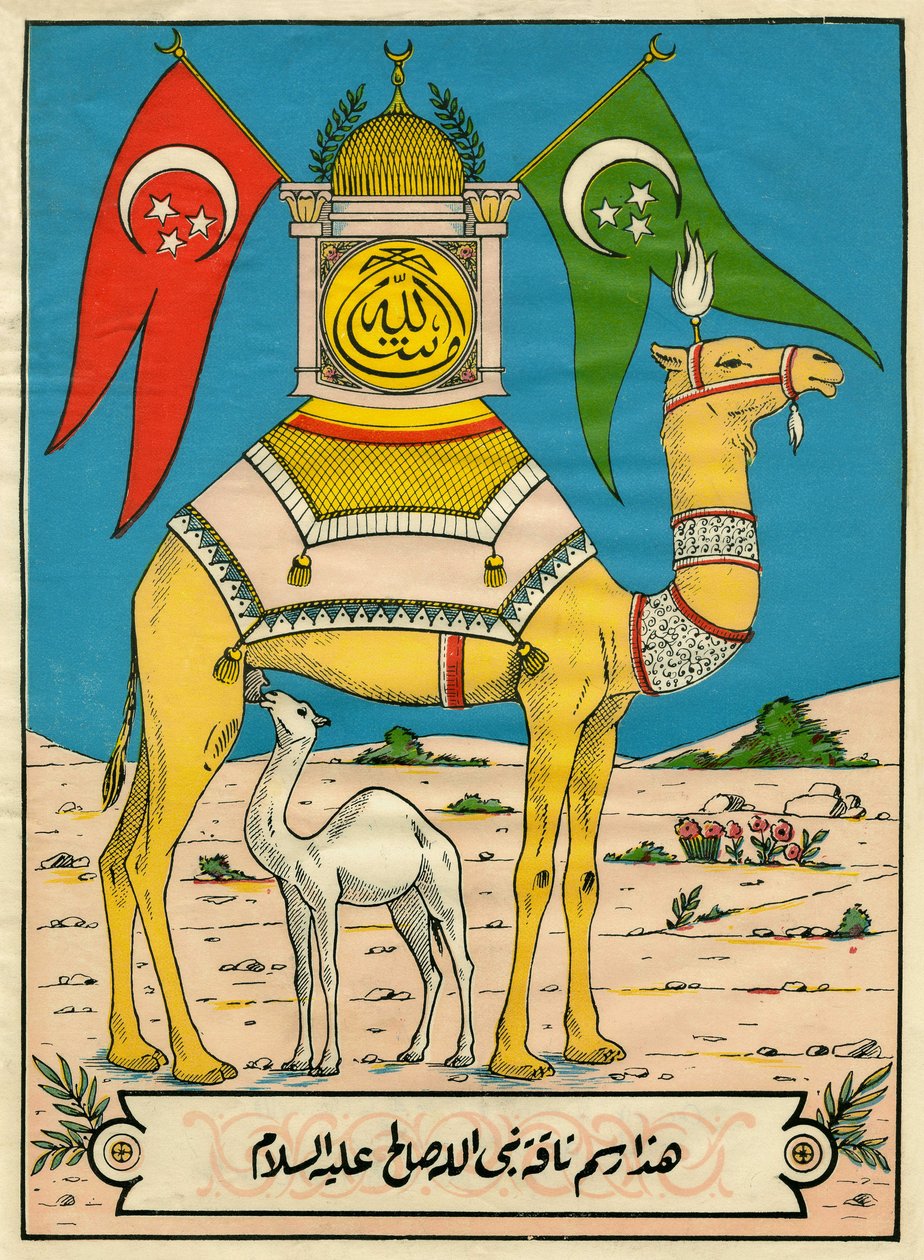 The Camel of Saleh, Sura 7, verse 71: (...) this camel of God is for you a sign (...). Popular imagery, Tunisia 作者 突尼斯学校