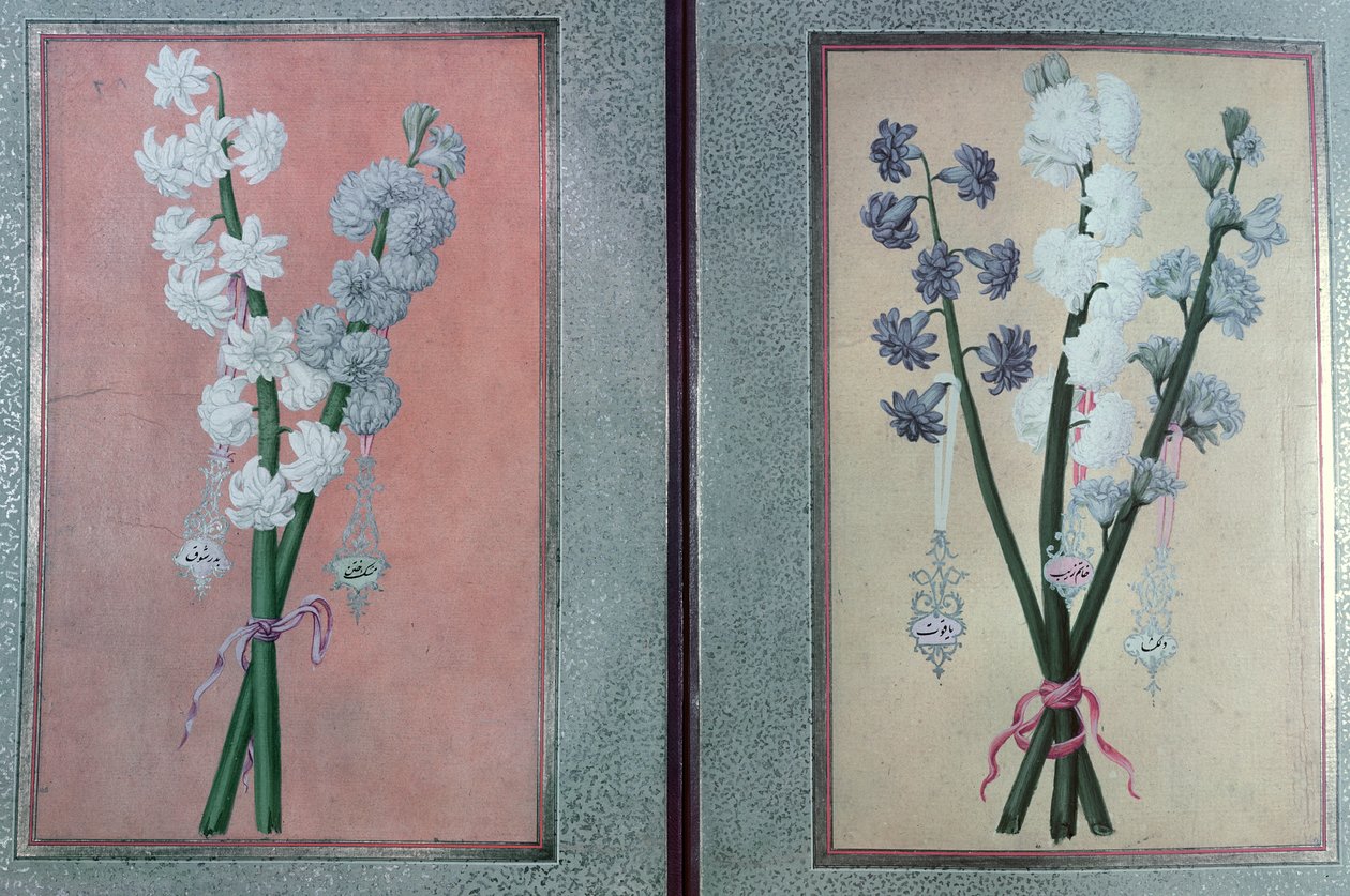 TKHazine 413两个风信子，1736年 作者 土耳其语学校