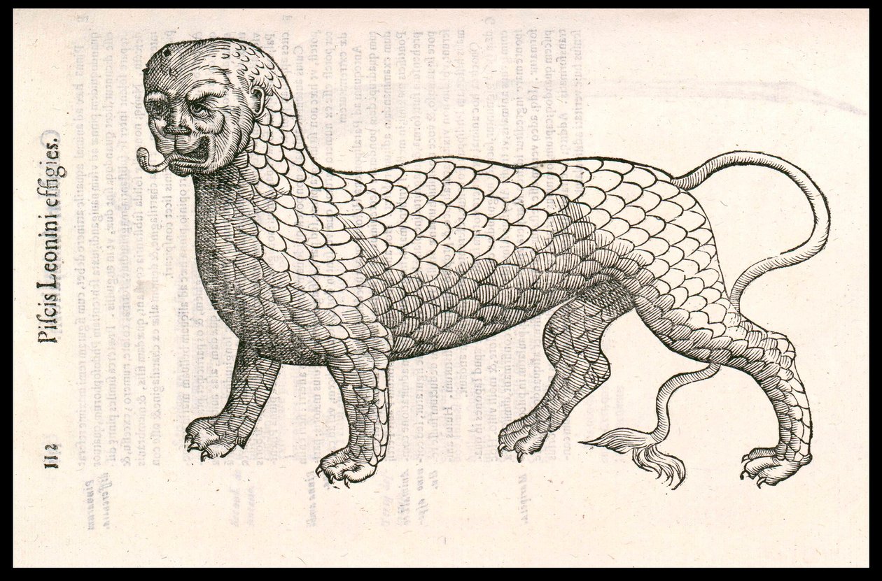 怪物生物：一只覆盖着鱼鳞的狮子（或狮子鱼）。Ulisse Aldrovandi（1522-1605）的雕刻，"Monstrorum Historiae"，Bologna 1642 作者 乌里斯·阿尔德罗万迪