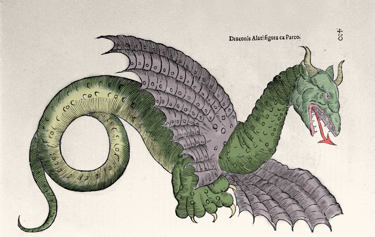 安布罗伊斯-帕雷（1509-1590）在其《怪物与奇迹》一书中的表述。Gravrue d