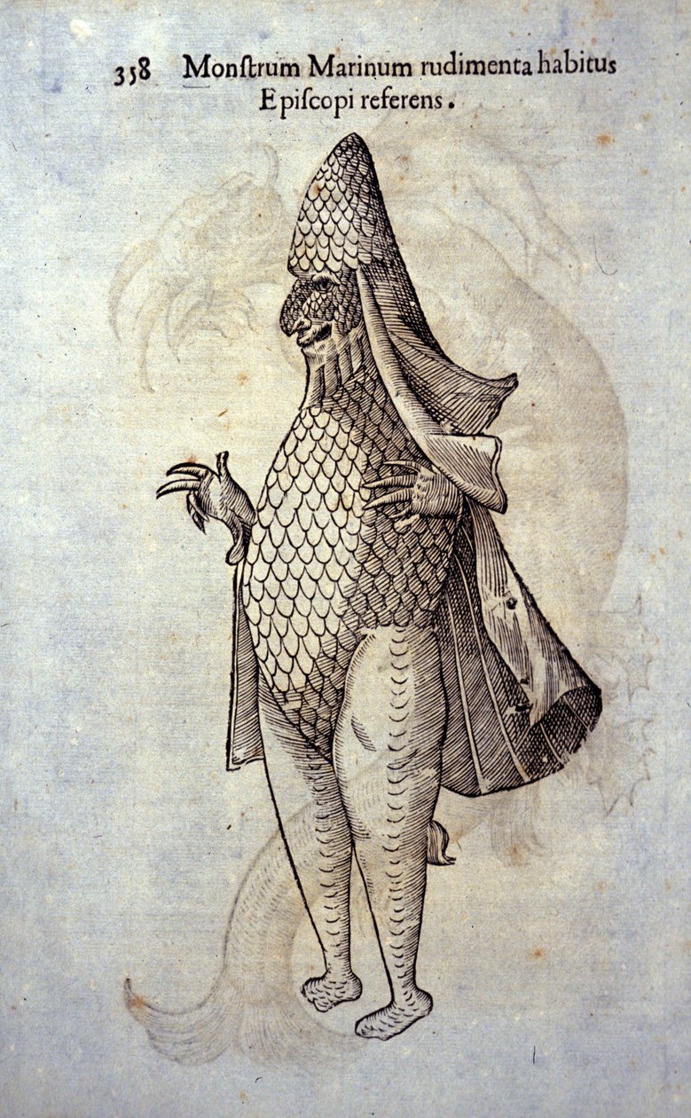 Ulisse Aldrovandi (1522-1605)的《海怪》，"Monstrorum Historiae"，博洛尼亚1642年，想象中的鱼和海洋怪物 作者 乌里斯·阿尔德罗万迪