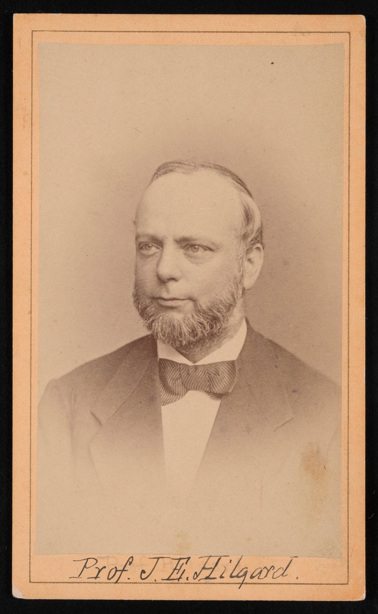 朱利叶斯-伊拉斯谟-希尔加德的肖像 1825-1891年，1873年。 作者 乌尔克兄弟