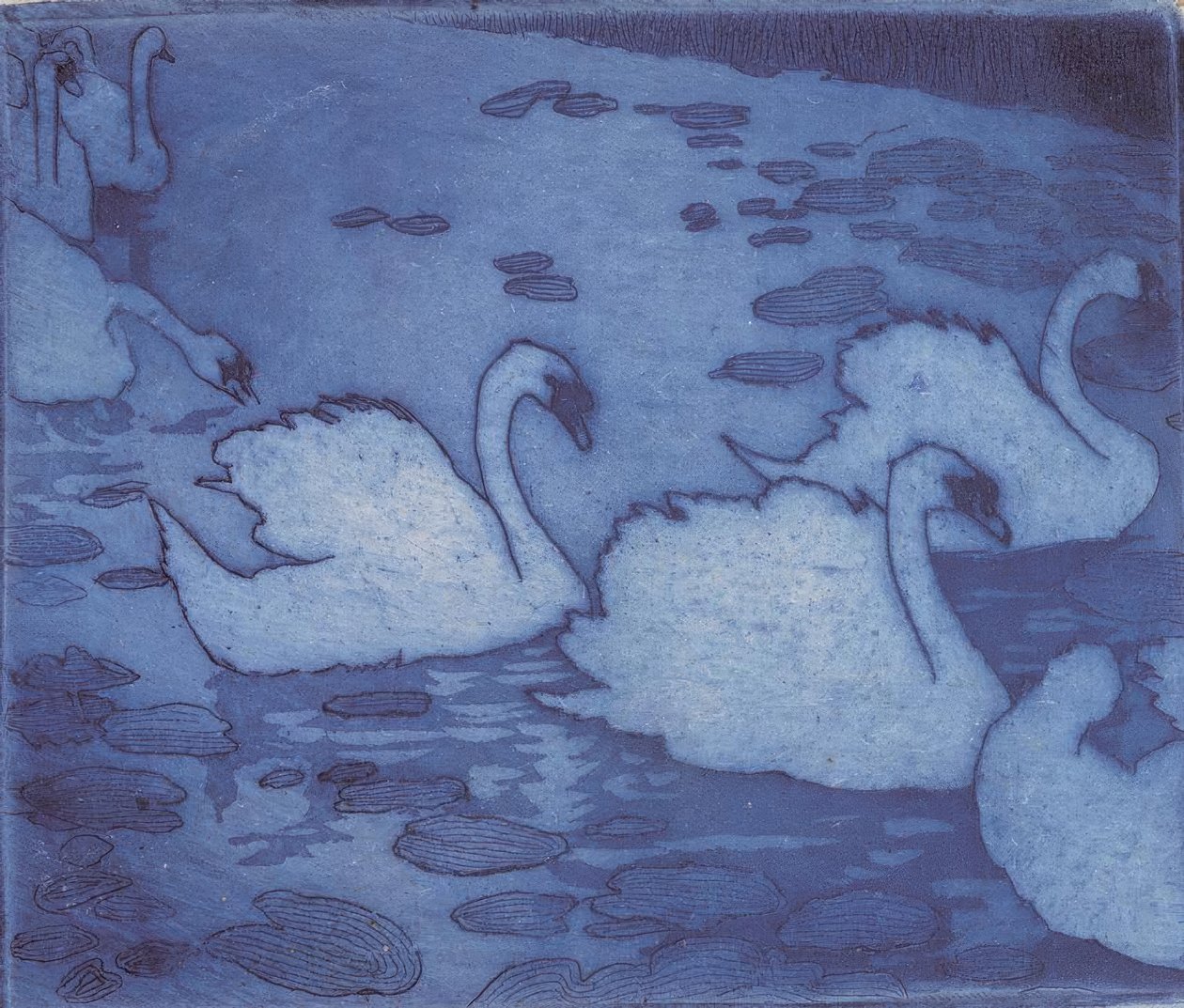 天鹅 作者 翁贝托·博西奥尼（Umberto Boccioni）