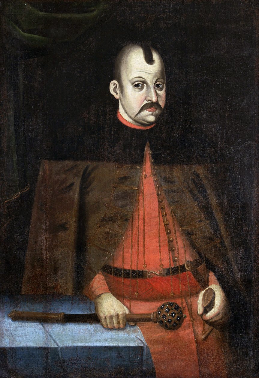 AlbrechtUładisłaŭRadzivił 作者 未知未知