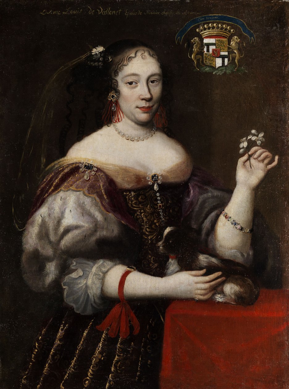 查理的Lady Louise de Vallenet Epus 作者 未知未知