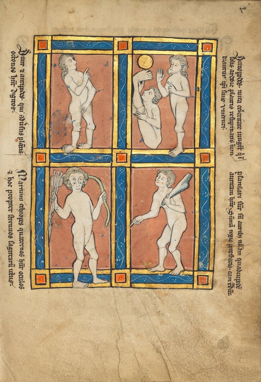 对立面; Scinopode;沿海埃塞俄比亚人; Psalmlarus 作者 未知未知