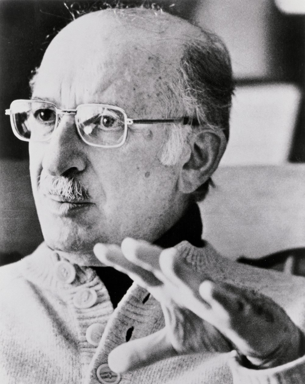 Bernard Malamud（1914-86），约翰布拉格拍摄的“都柏林的生活”，Farrar Strauss Giroux出版社，c.1799 作者 未知未知