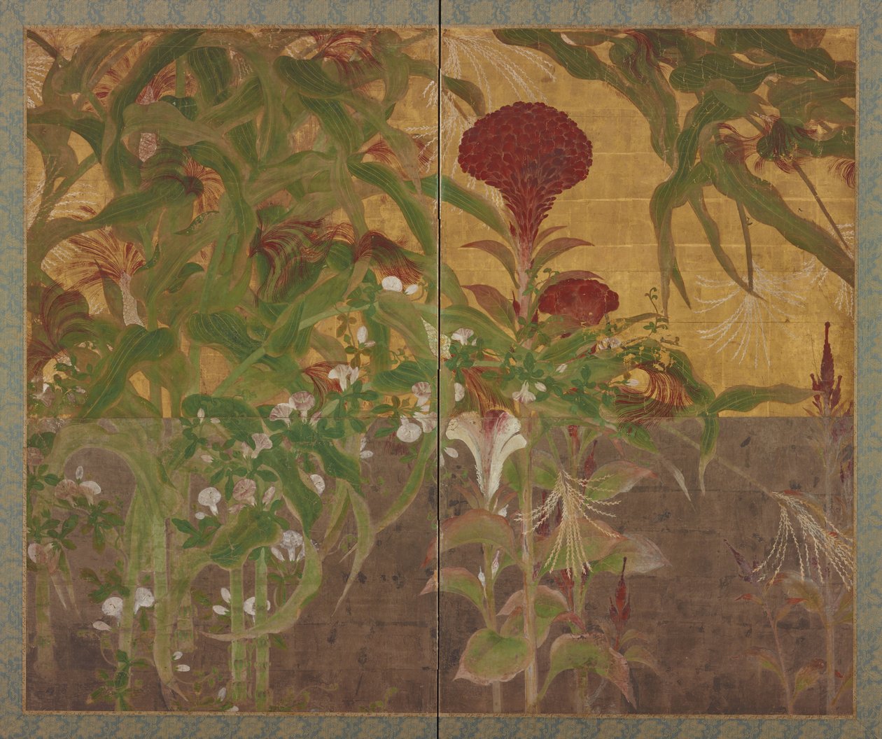 Coxcombs，玉米和牵牛花 作者 未知未知