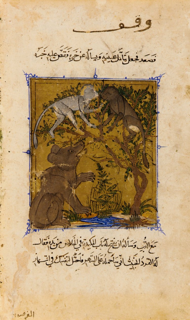 来自Ibn Zafar的Sulwan al-Muta（乐趣的安慰）的Folio;反对 - 熊的故事和M ... 作者 未知未知