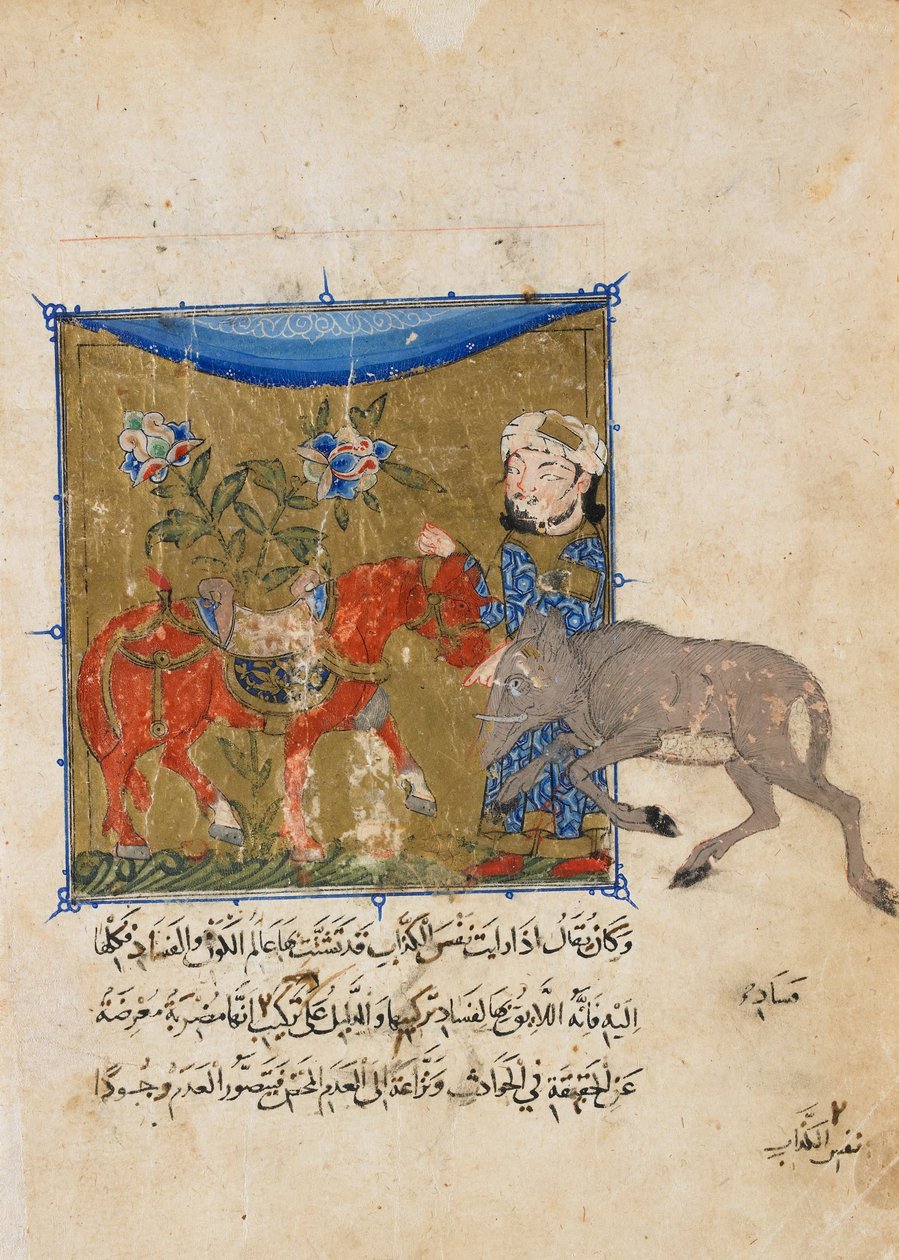 来自Iul Zafar的Sulwan al-Muta的Folio;反对野猪和马 作者 未知未知