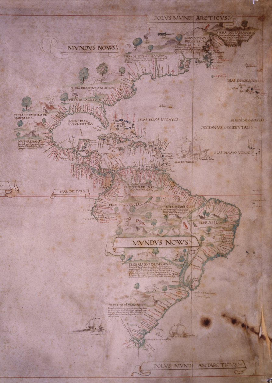 新世界地图，c.1532 作者 未知未知