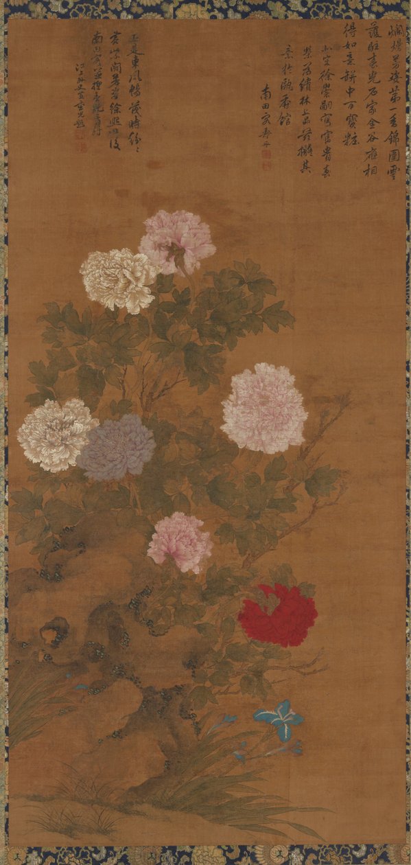 牡丹 作者 未知未知