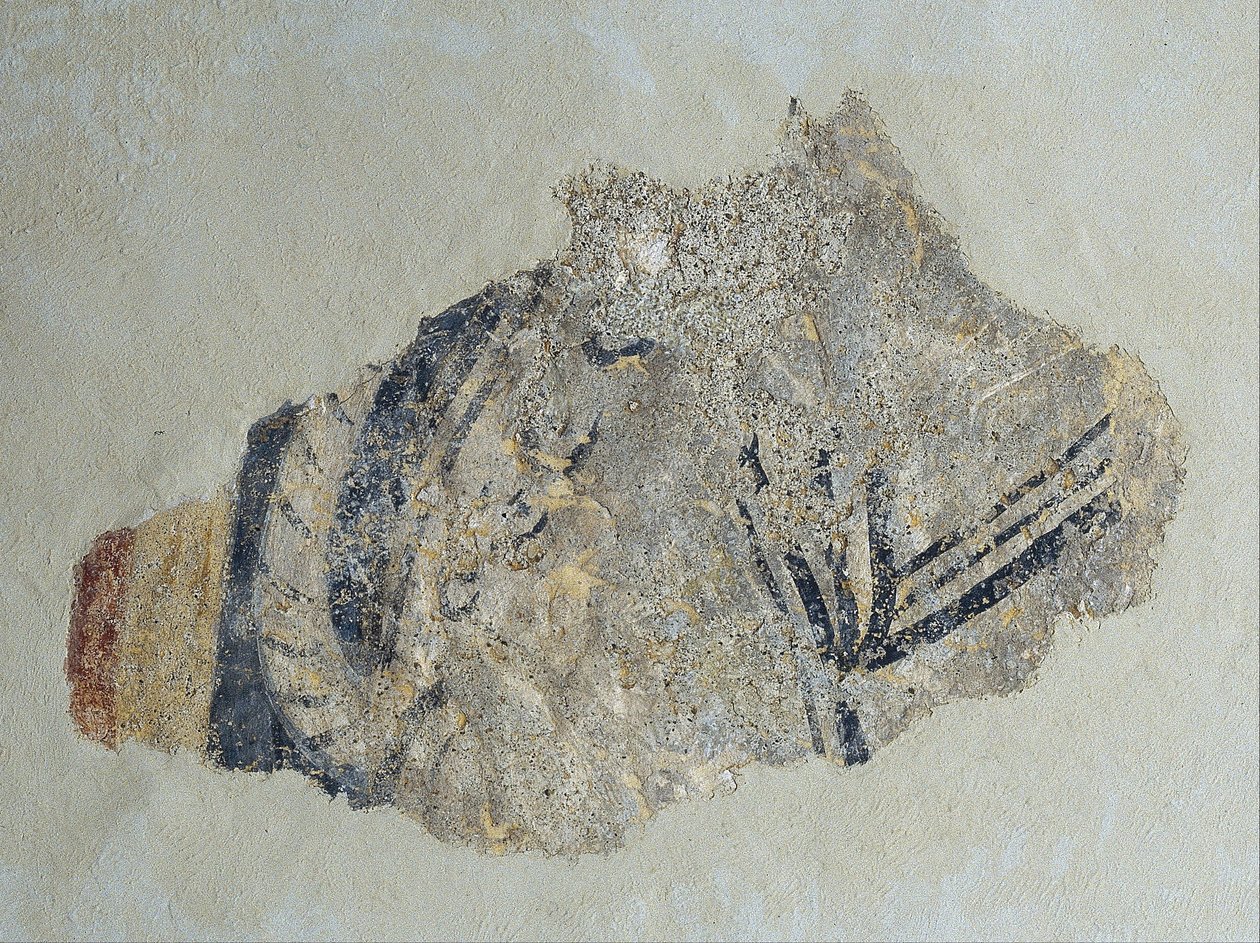 遗骸来自Sant JoandeBoí（592621） 作者 未知未知