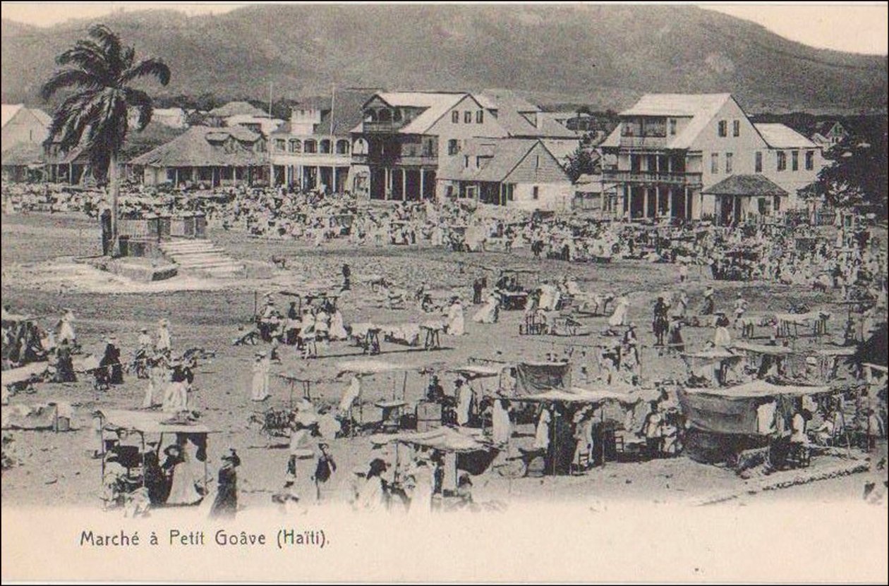 19356N HAITI walk from Pete Goave 作者 不明