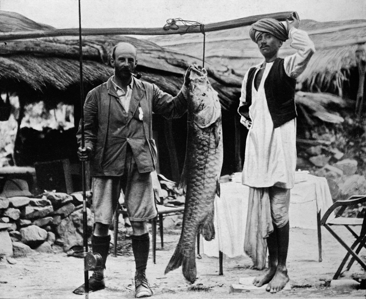 59磅重的马瑟（Mahseer），1903年生于1903年，位于里德恒河上游的HBD坎贝尔上尉抓住 作者 不明