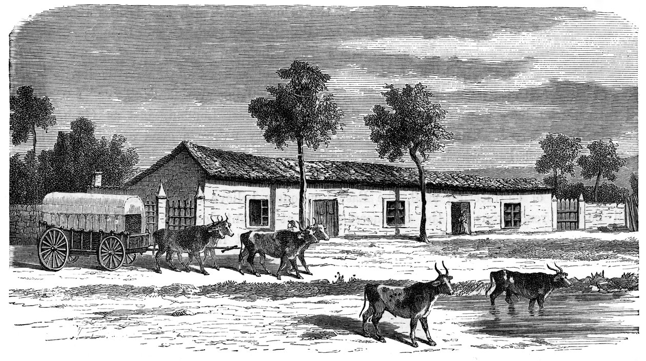 南非，布尔农场，c1890 作者 不明