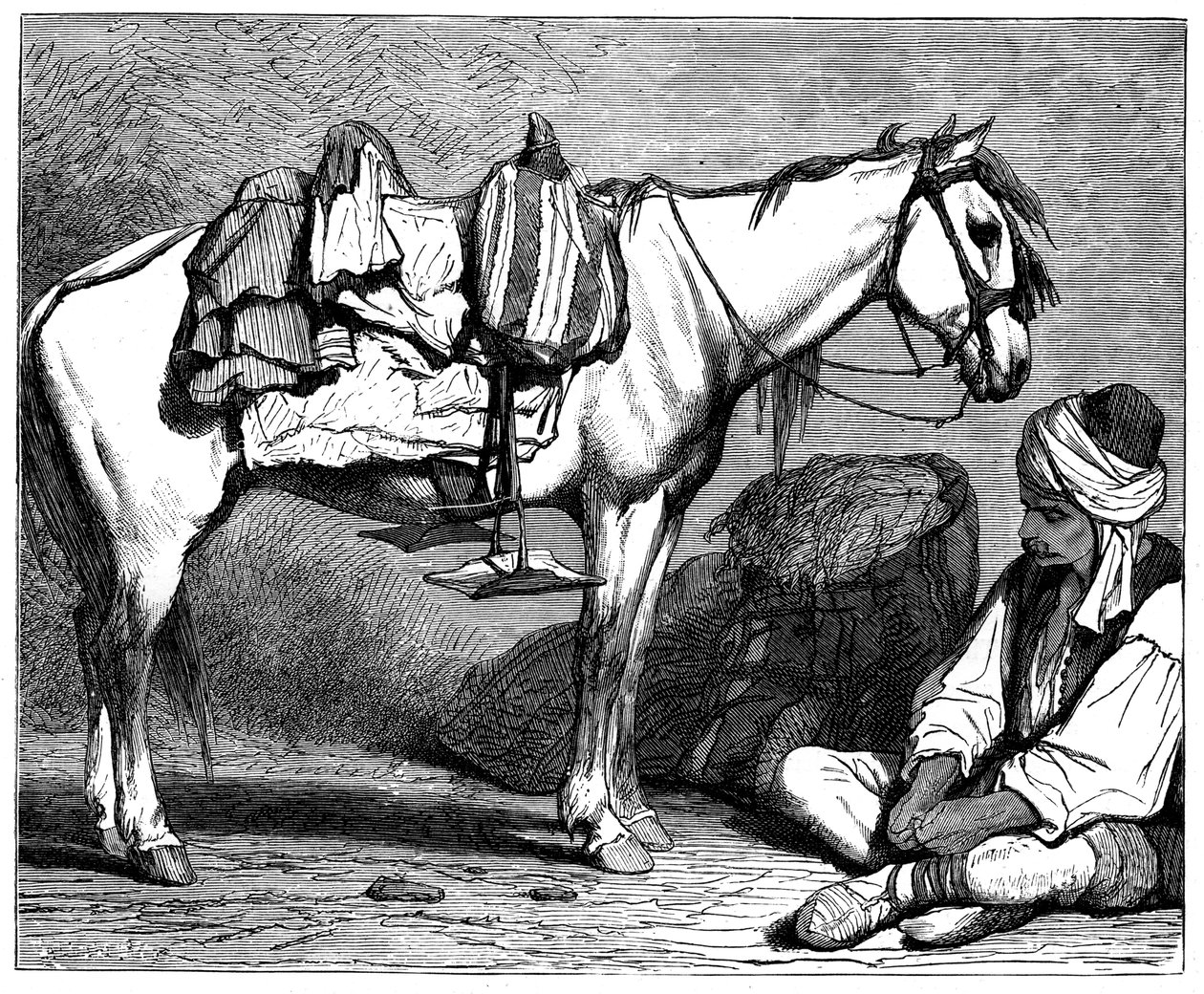 波斯尼亚农民，c1890 作者 不明