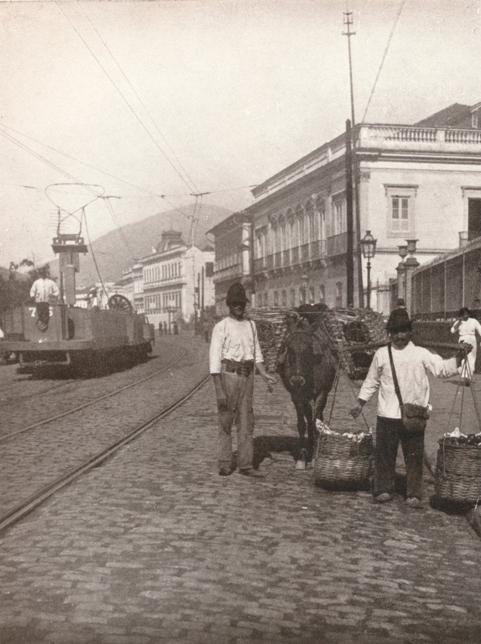 1914年，里约热内卢的Botafogo街景 作者 不明