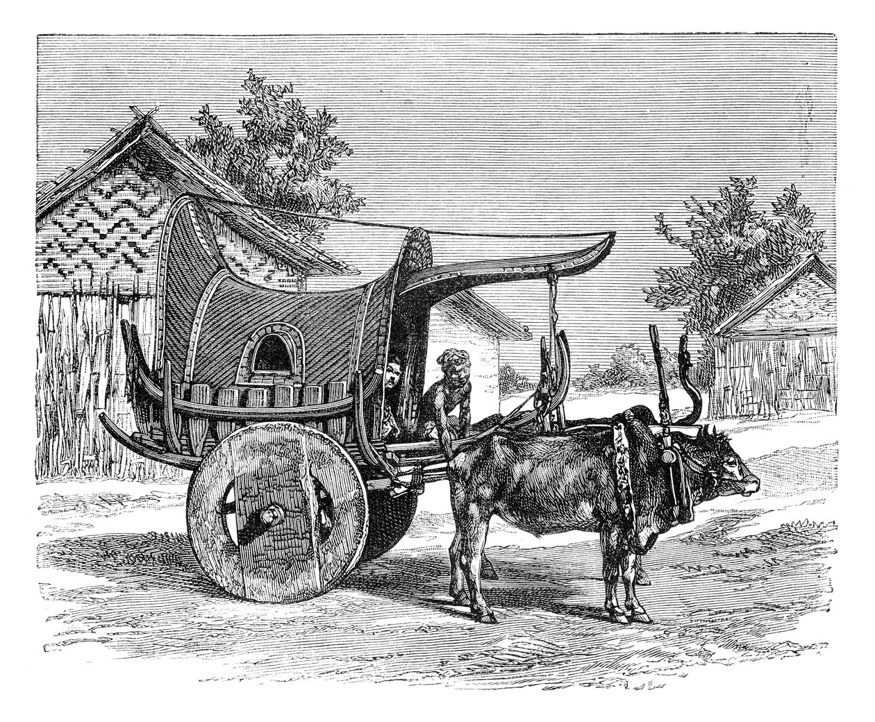 缅甸的缅甸货车，1895年 作者 不明