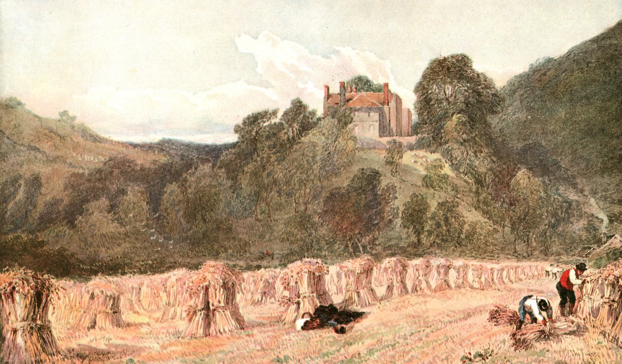 玉米田，c1840s，c1900。 作者 不明