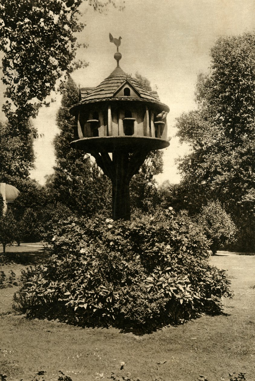 鸽舍-摄于1920年摄政公园的圣约翰斯旅馆，博阿·道瓦格·马奇欧尼斯夫人的花园里。 作者 不明