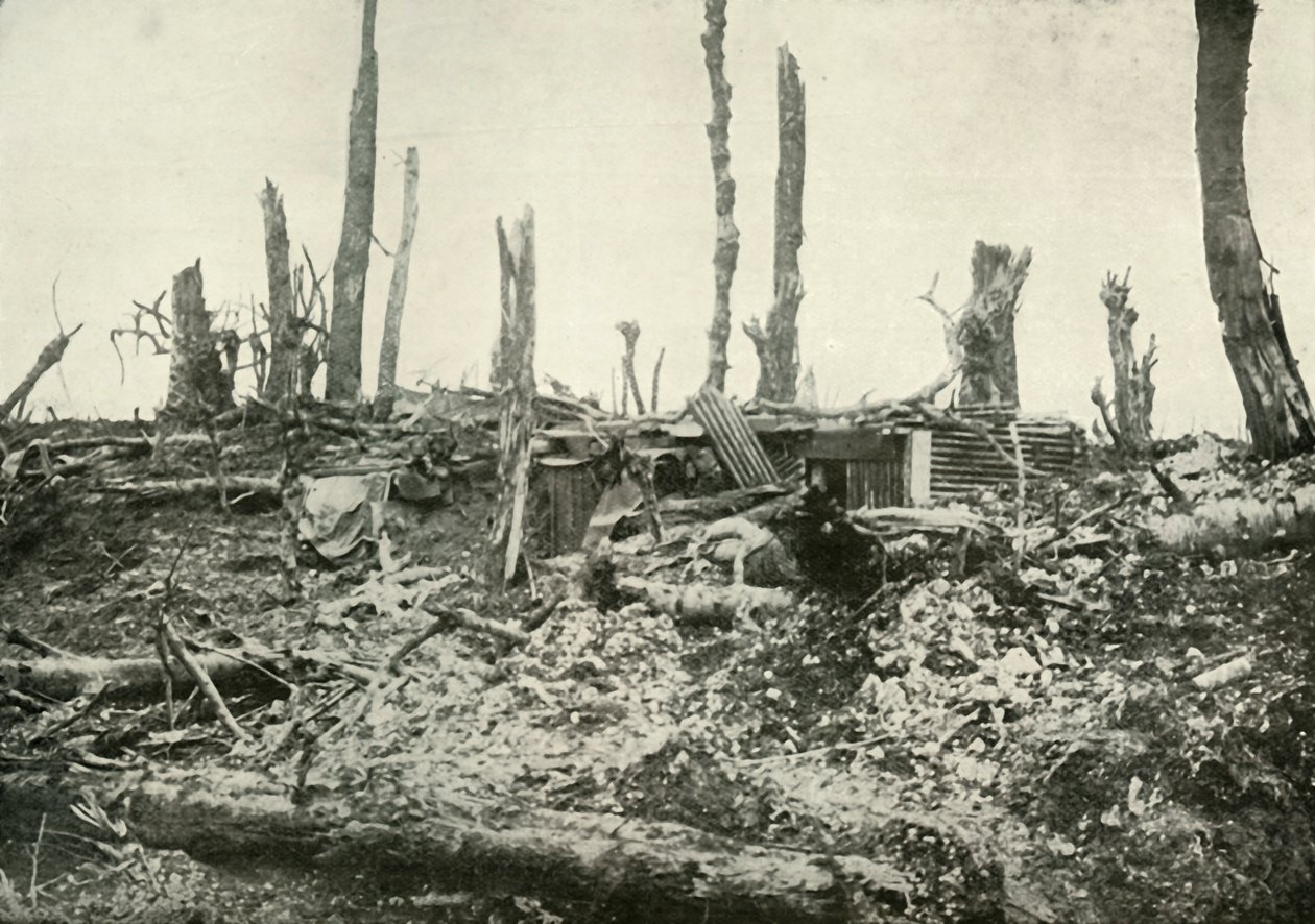 西尔伍德（Sylvan Wood）的原著，1919年。 作者 不明