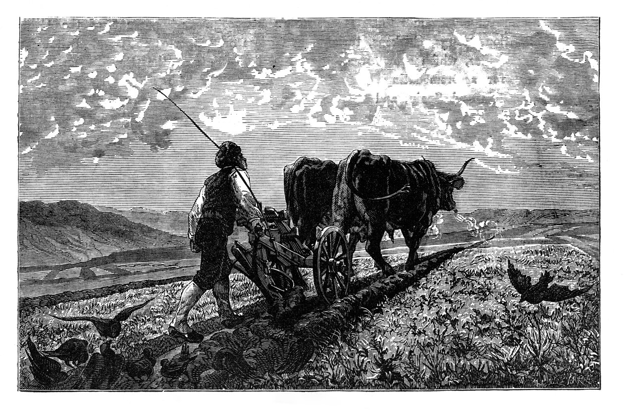 法国农业学家，c1890 作者 不明