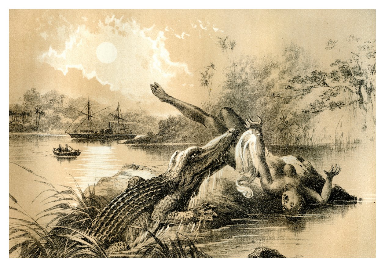 恐怖事件，1883年 作者 不明